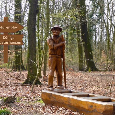 Relaxrefugium Luxus - Kueche, Arbeitsplaetze, Stellplatz & Komfort Fuer Bis 6 Gaeste Königs Wusterhausen エクステリア 写真